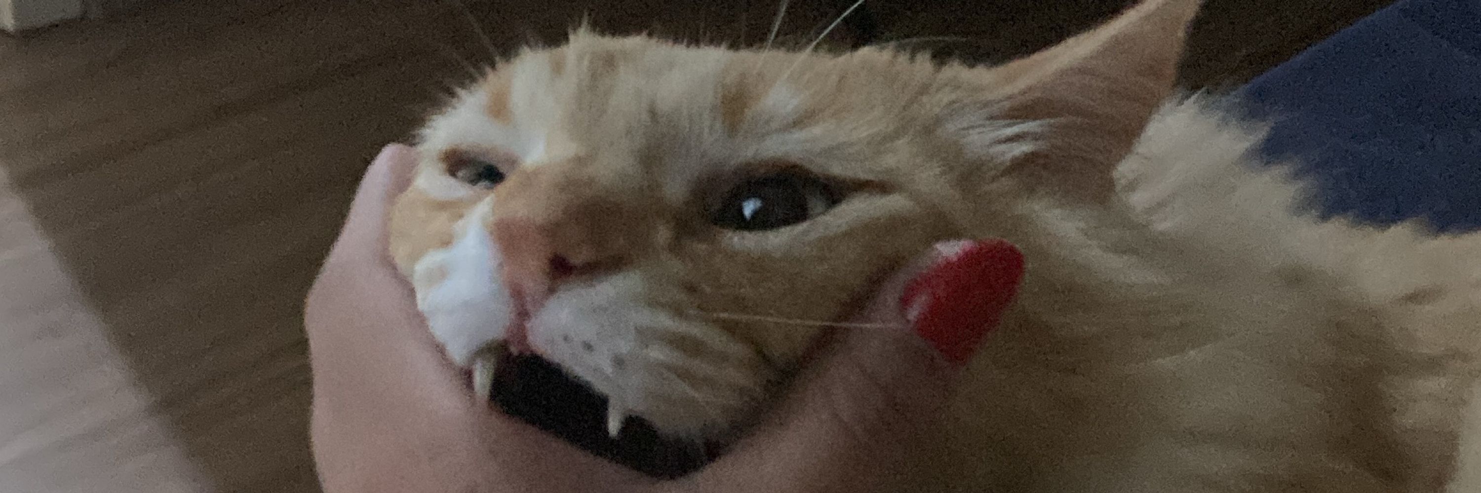 zê