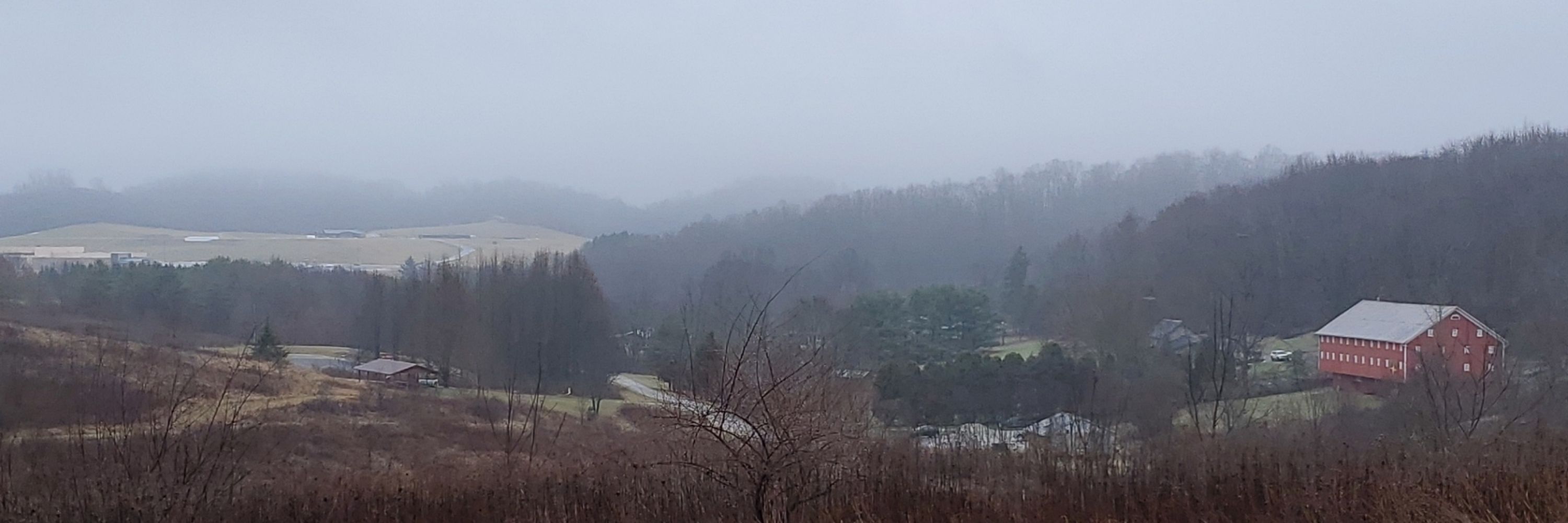 Wise Ky