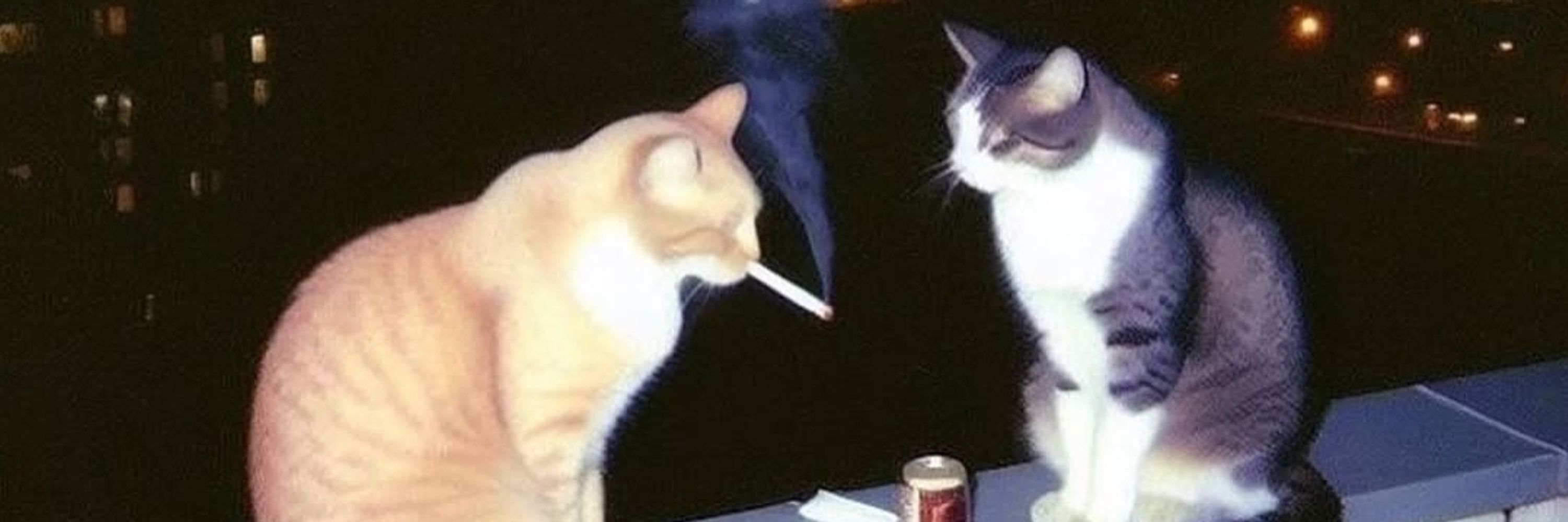 Chavocaliente👽🚬