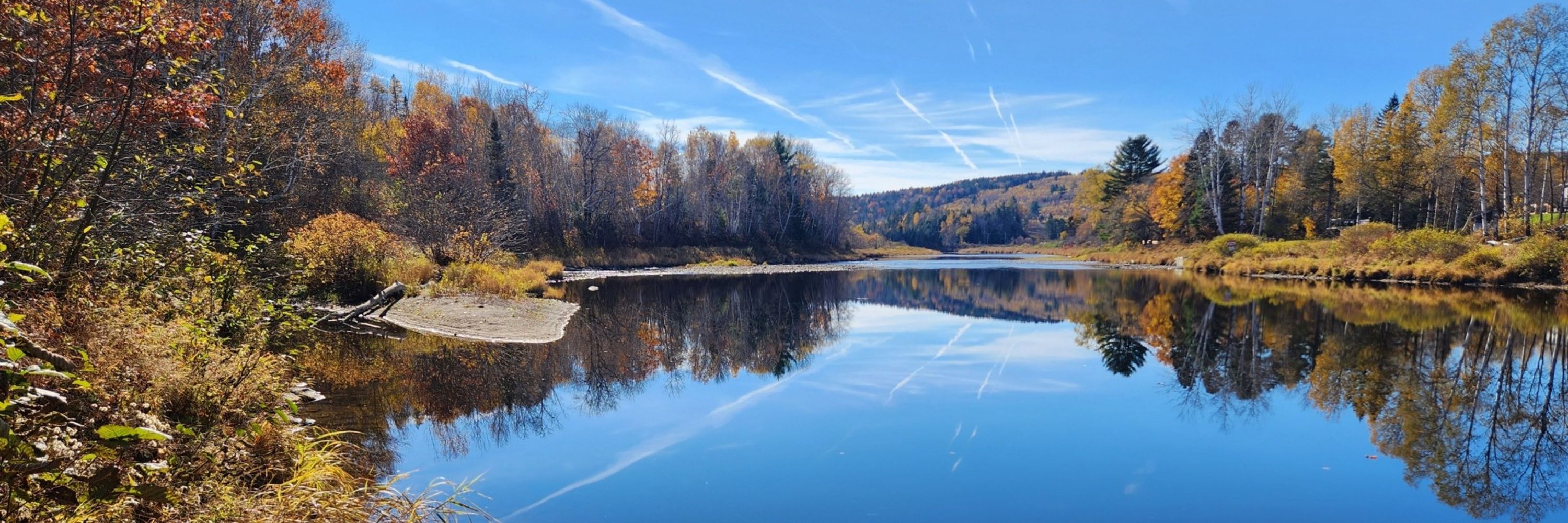 Gerald Pond