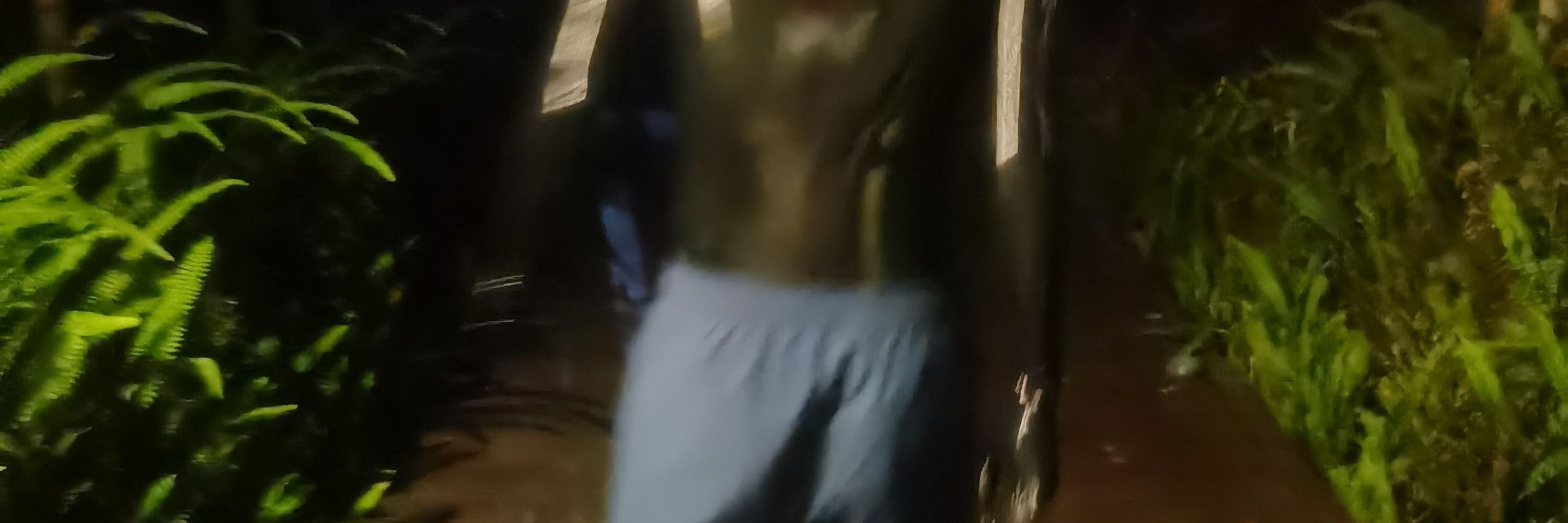 特