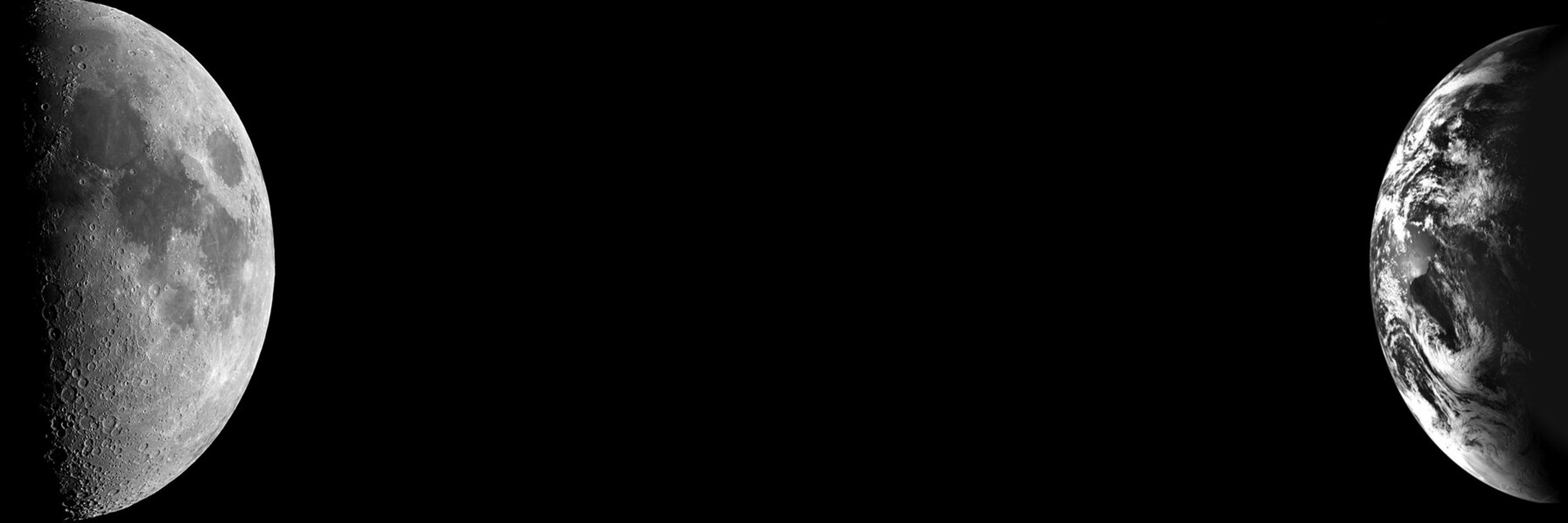 Xyloid Meridian