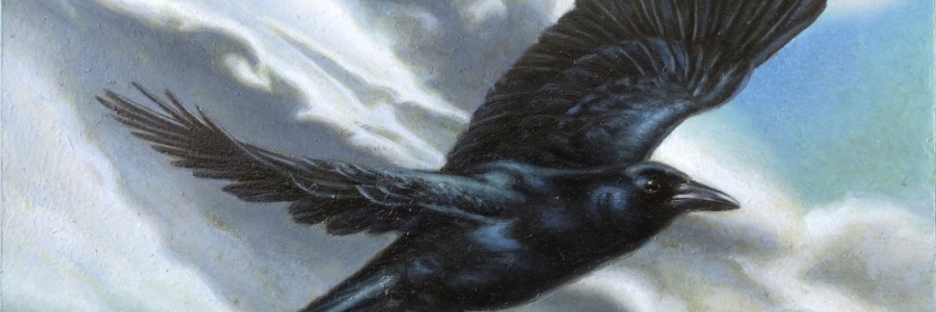 Storm Crow Official
