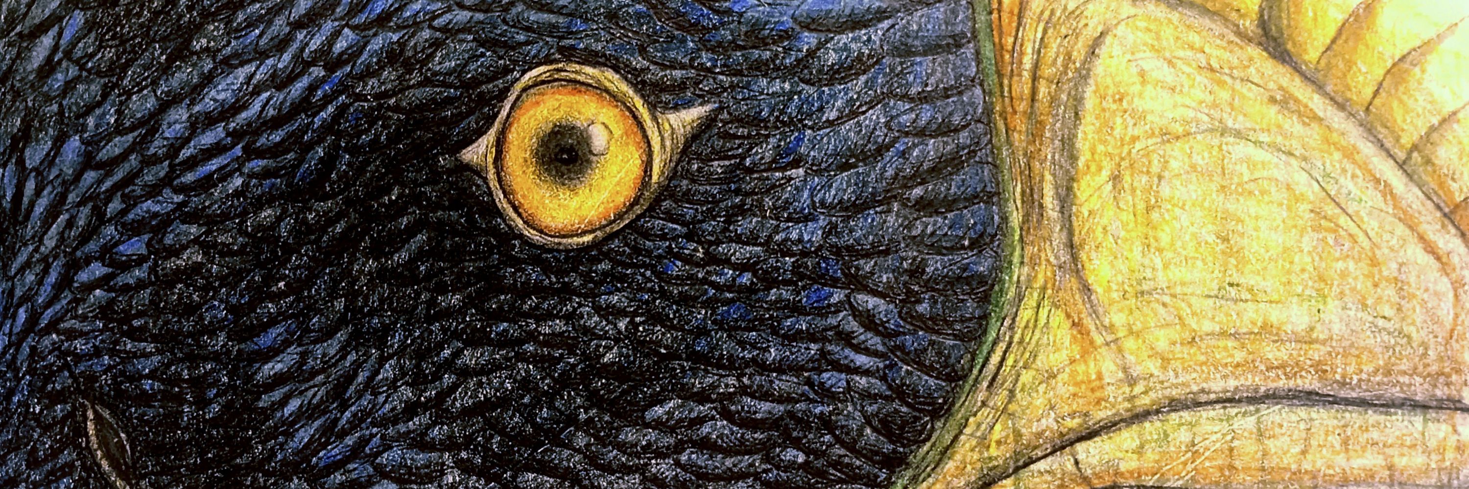 slothknight_art