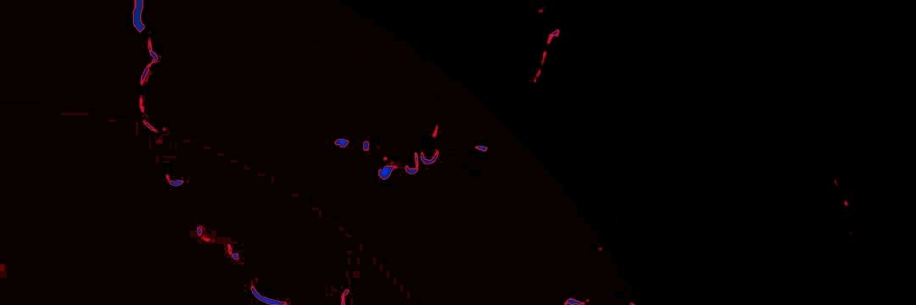 FranticSister 百事可乐赞助