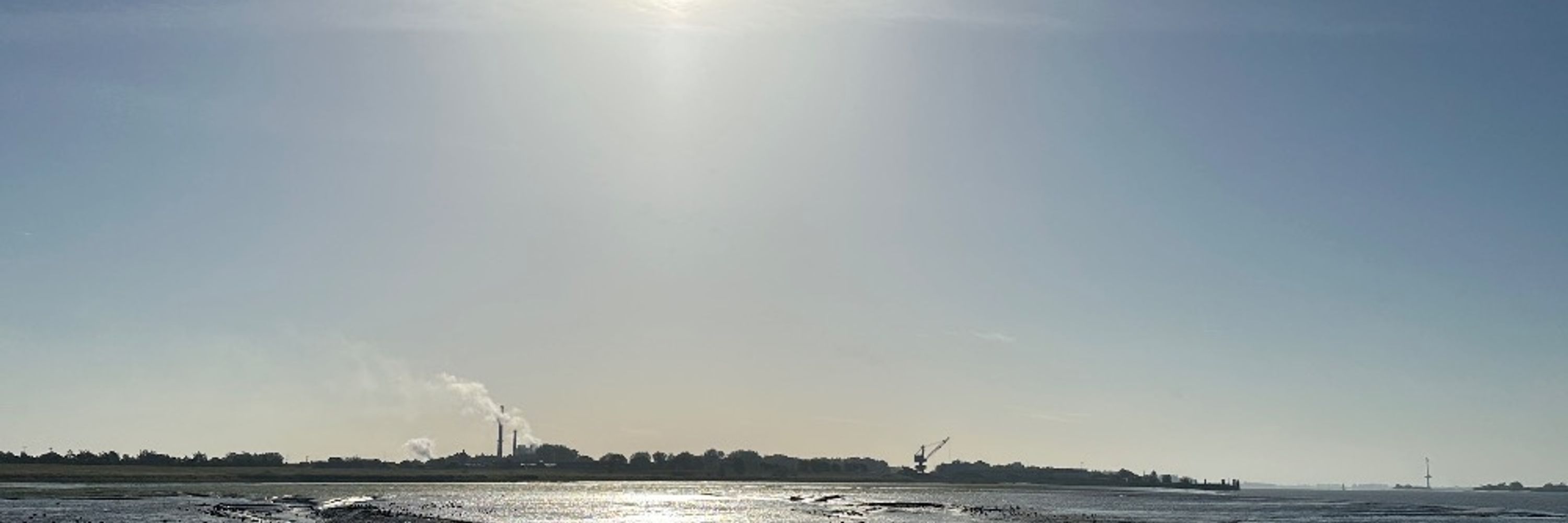 Hinrich Schipper