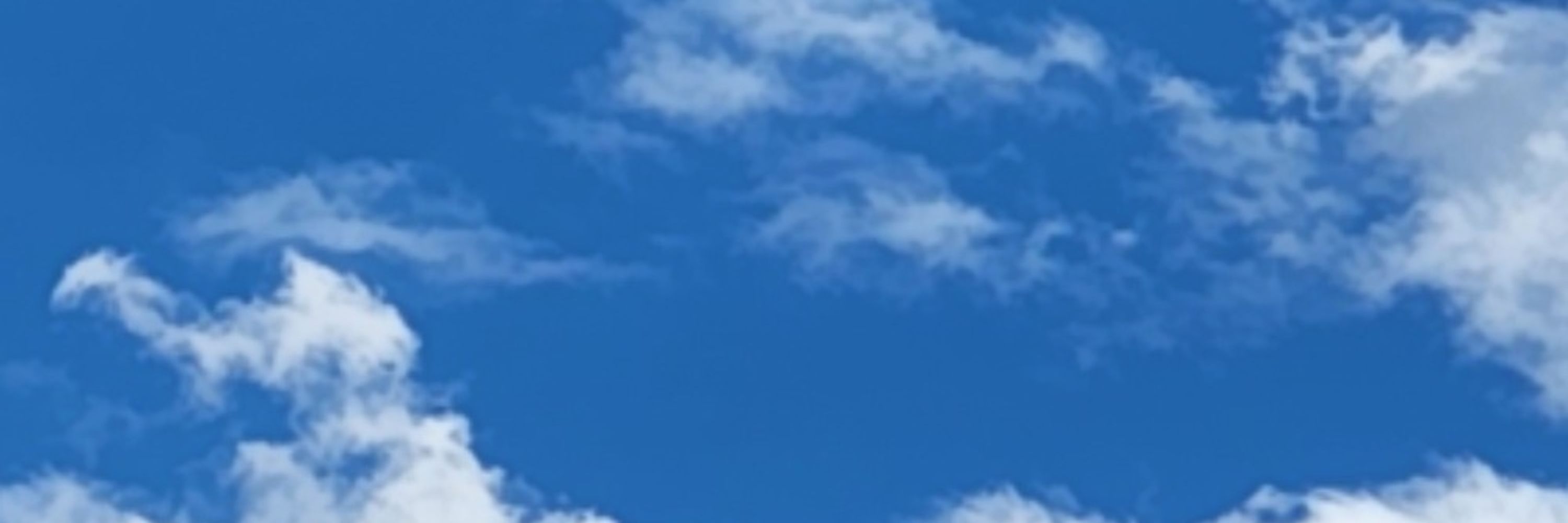 はとり