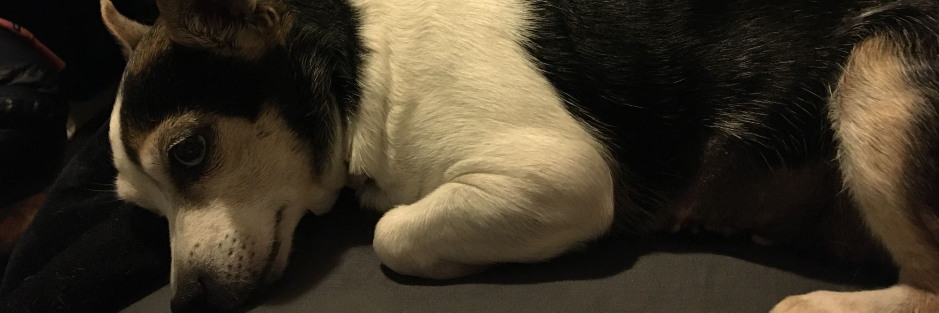 Mika