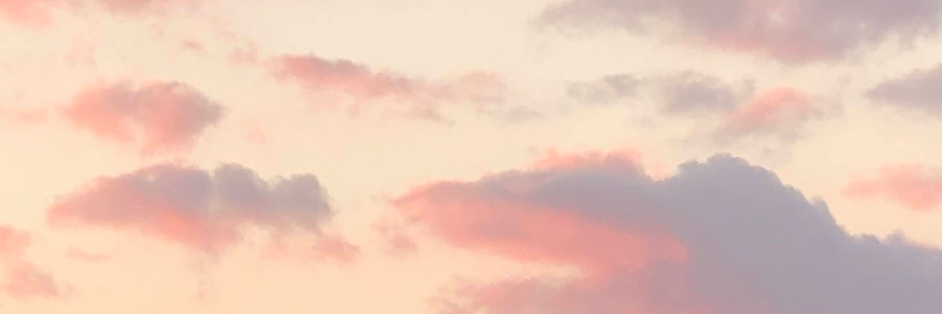 魅火