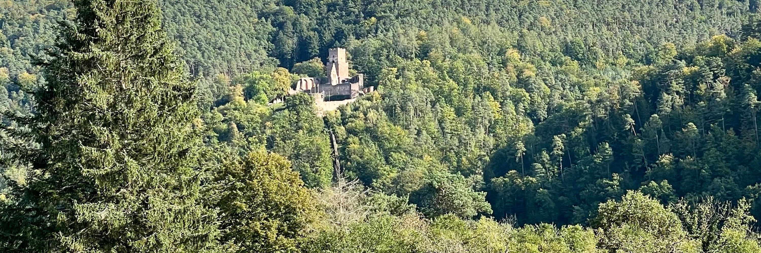 anja
