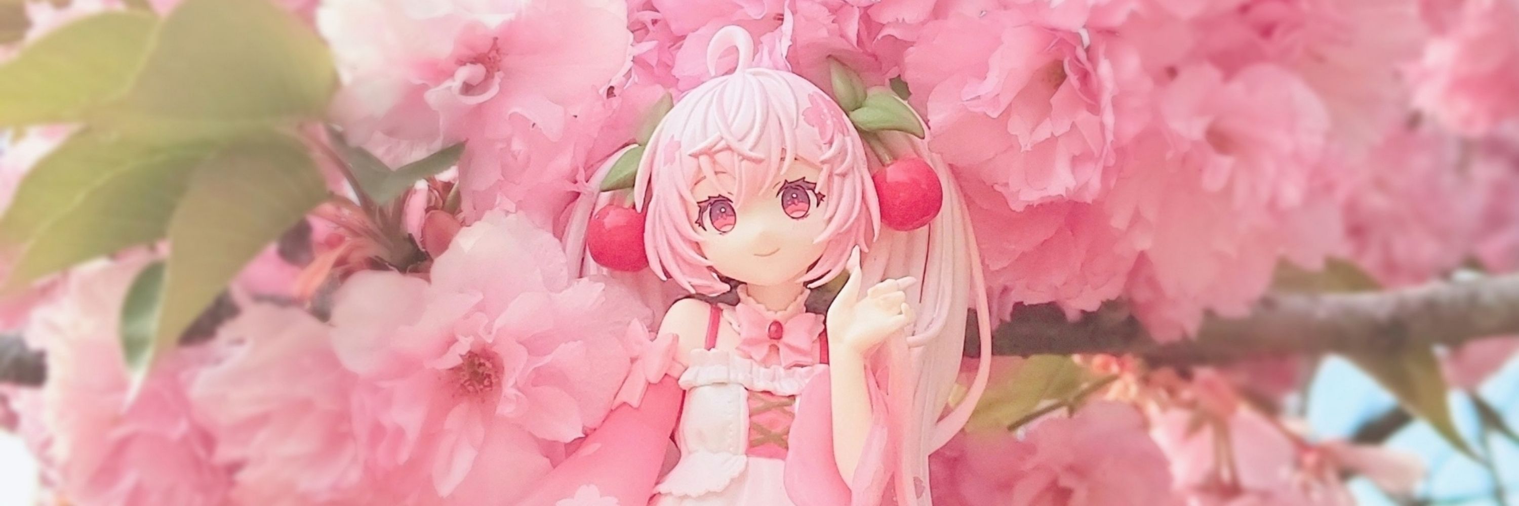 しらす