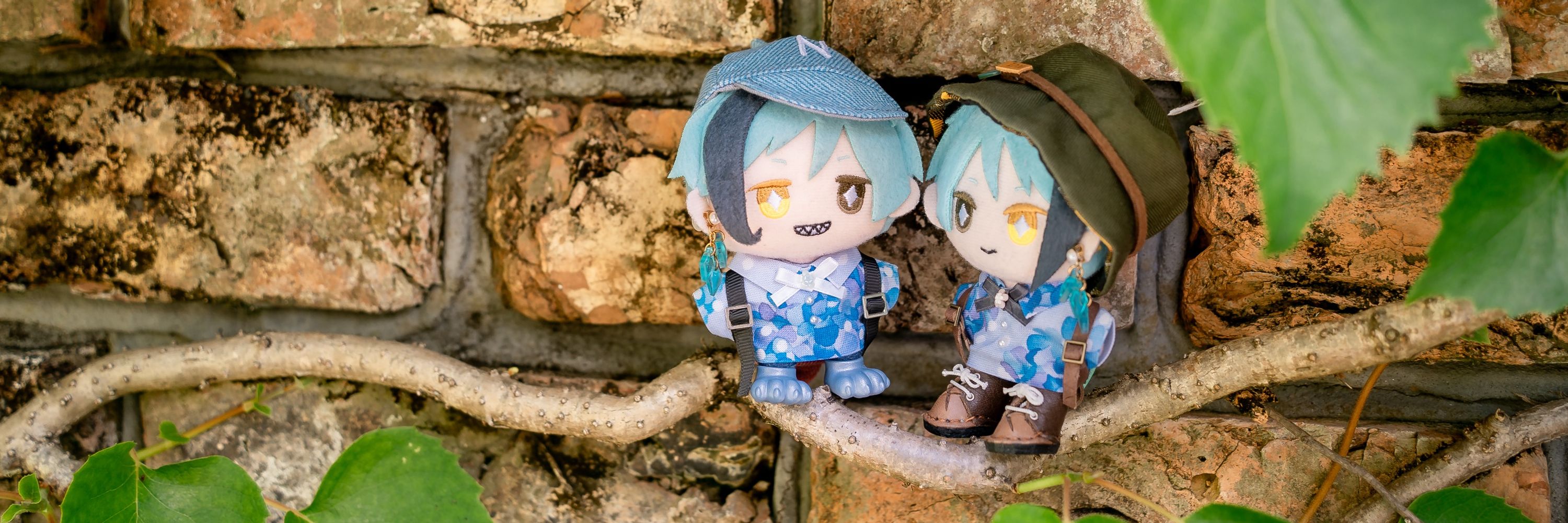 アキとぬい
