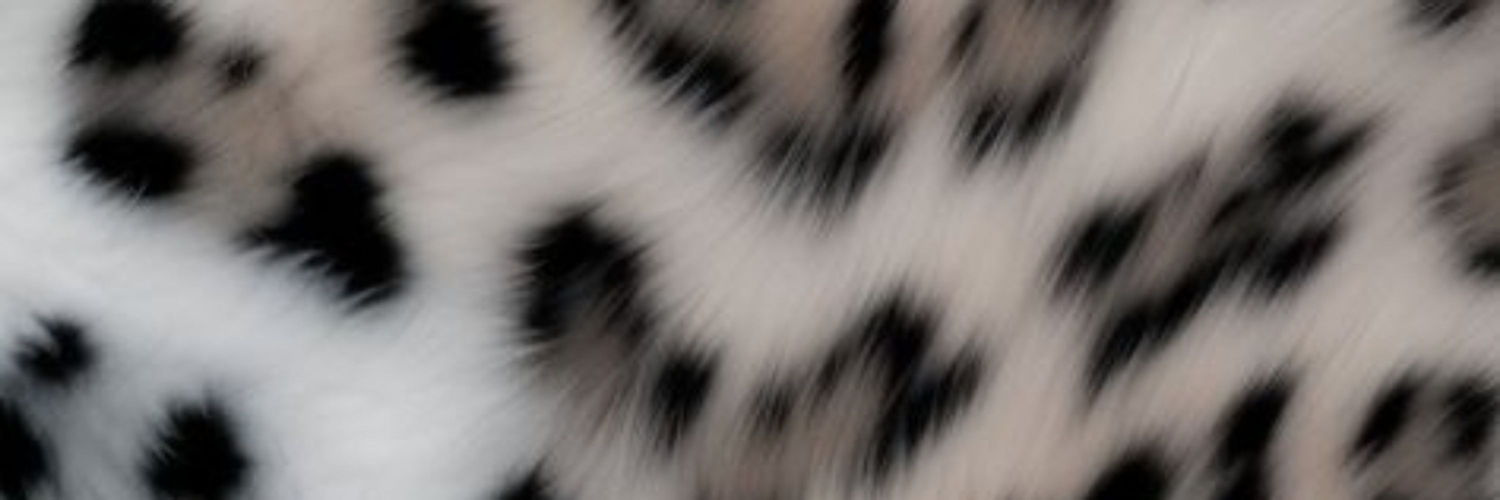 𝓐.𝓖