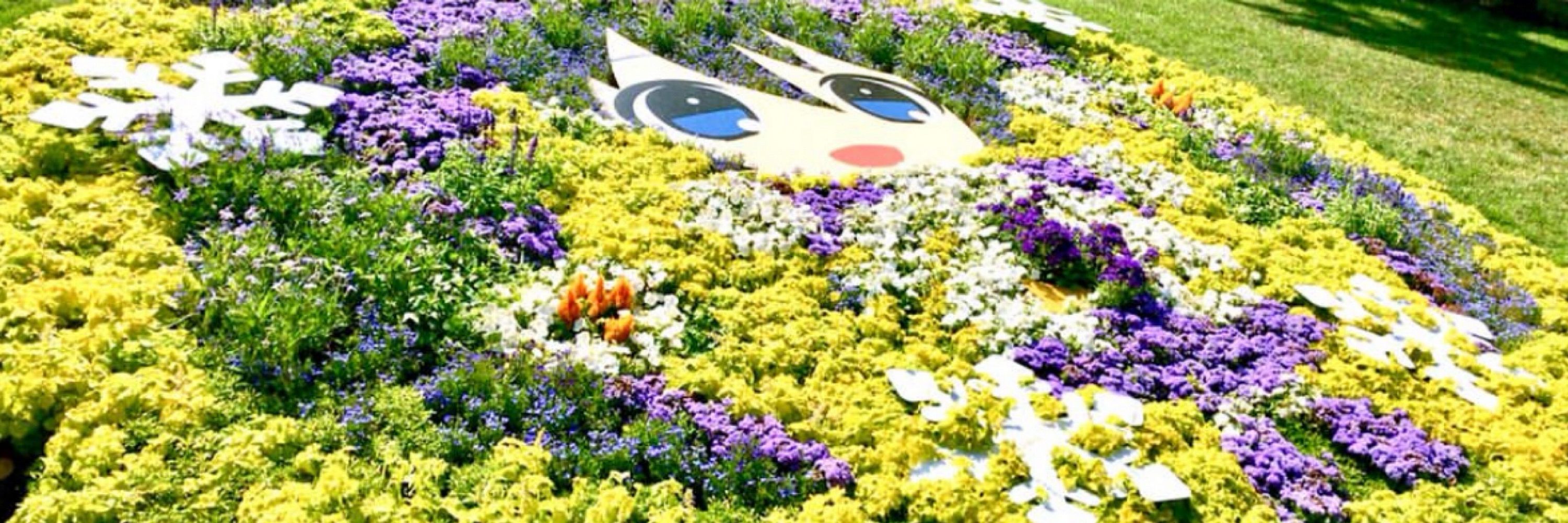 けえ