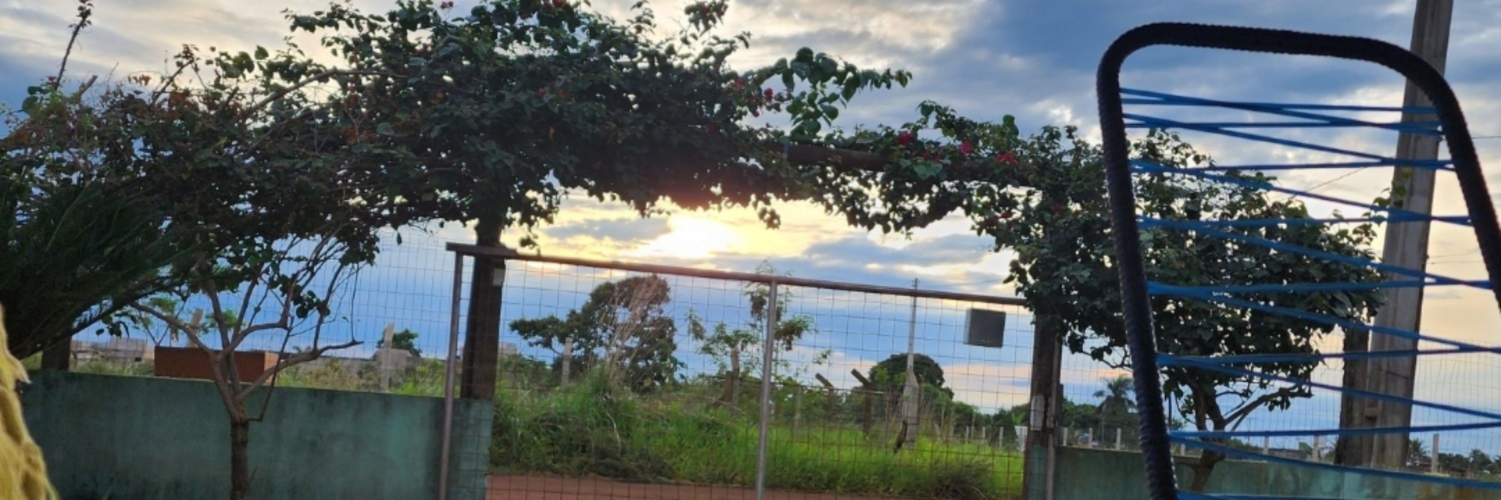 Djuba