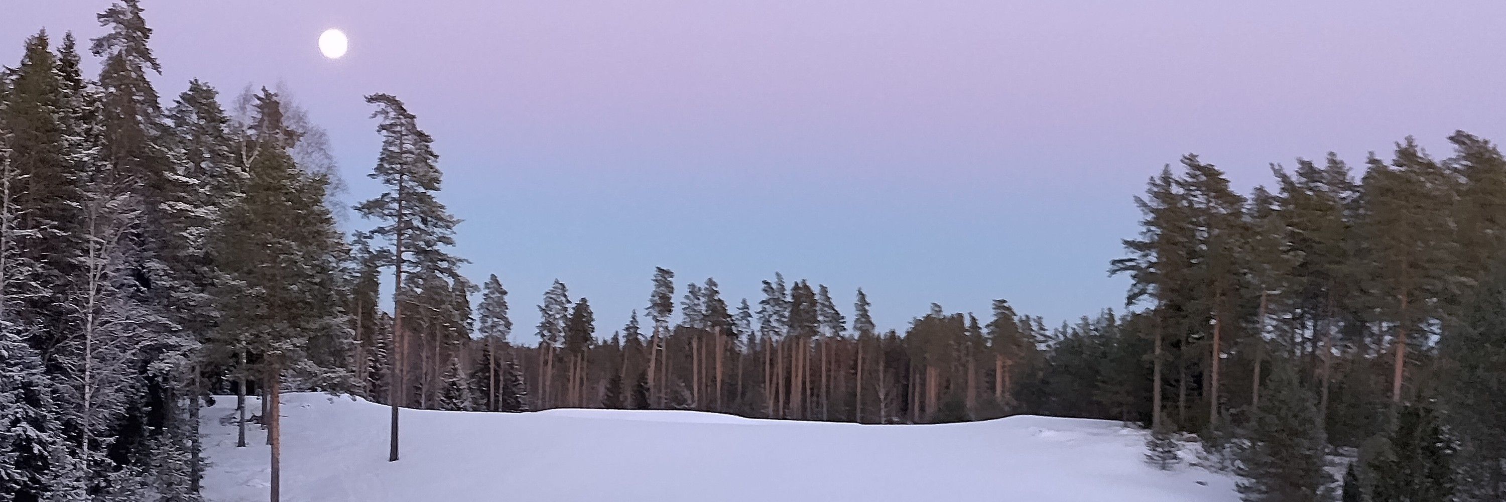 Minna Meritahti
