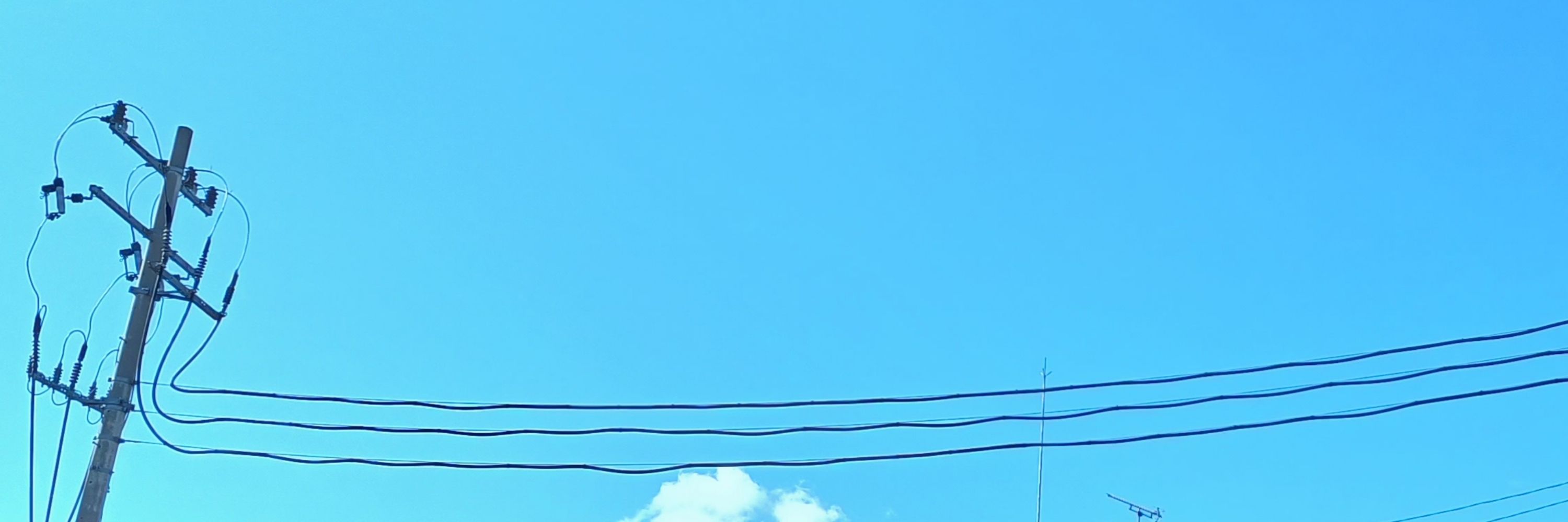 유운