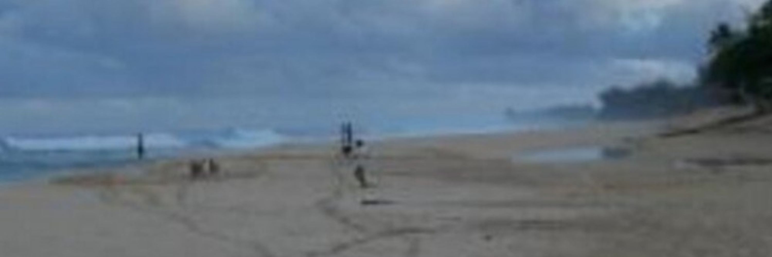 TimInHonolulu