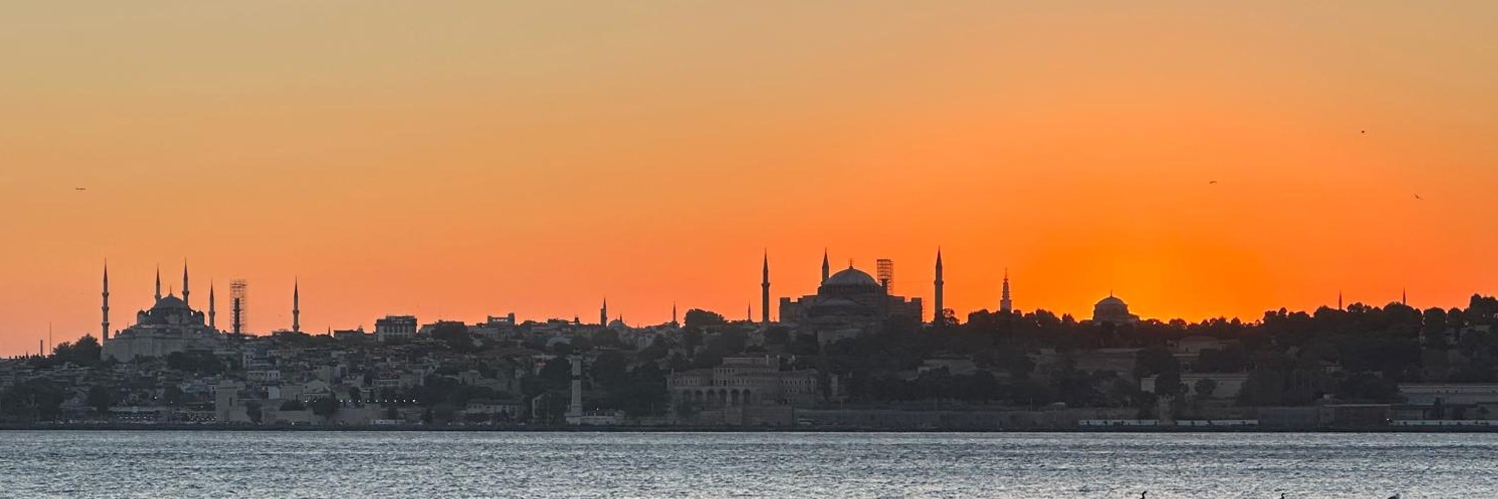 N.Cemal
