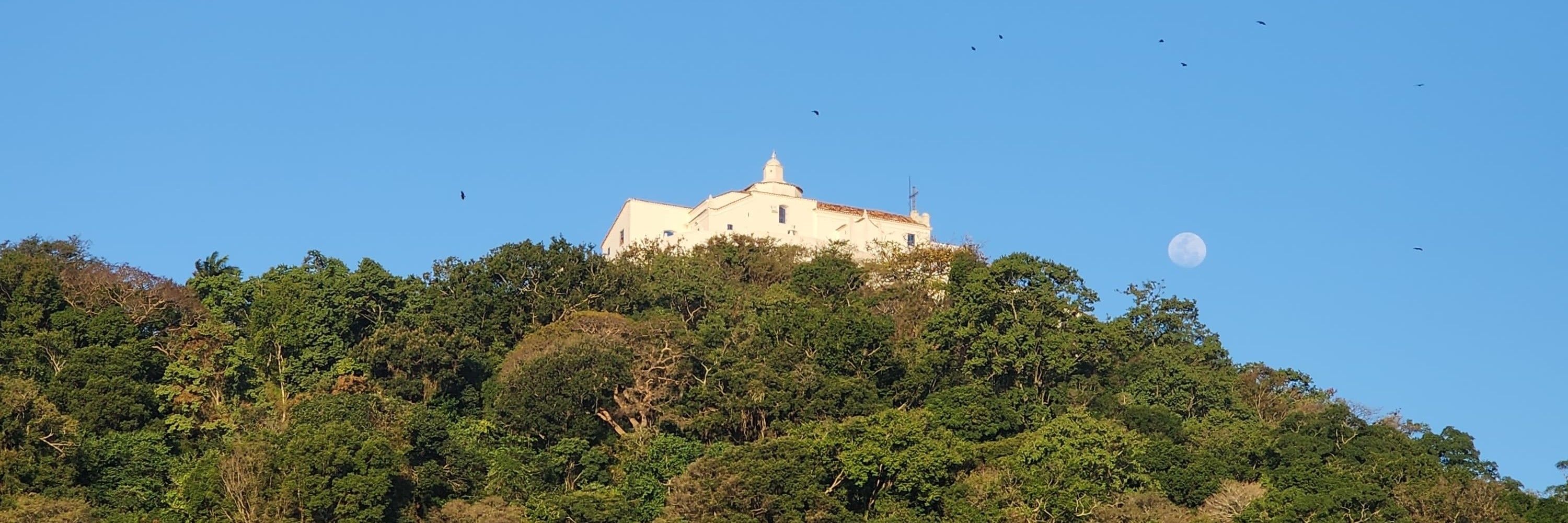 davizin