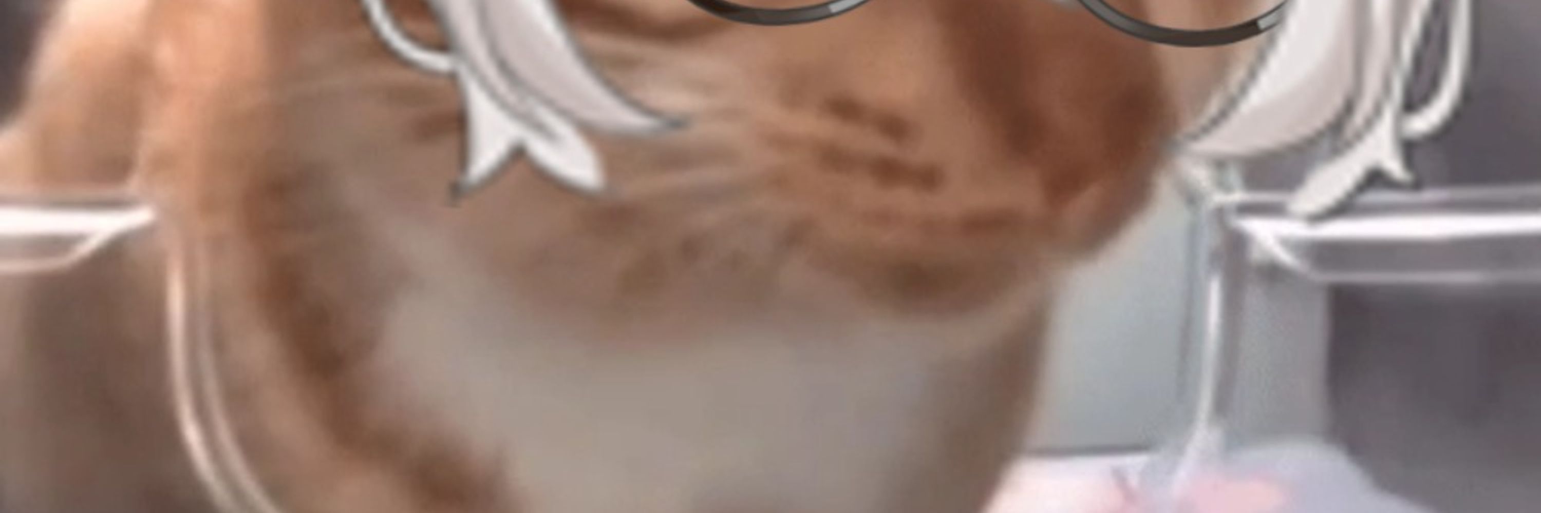 Yuto