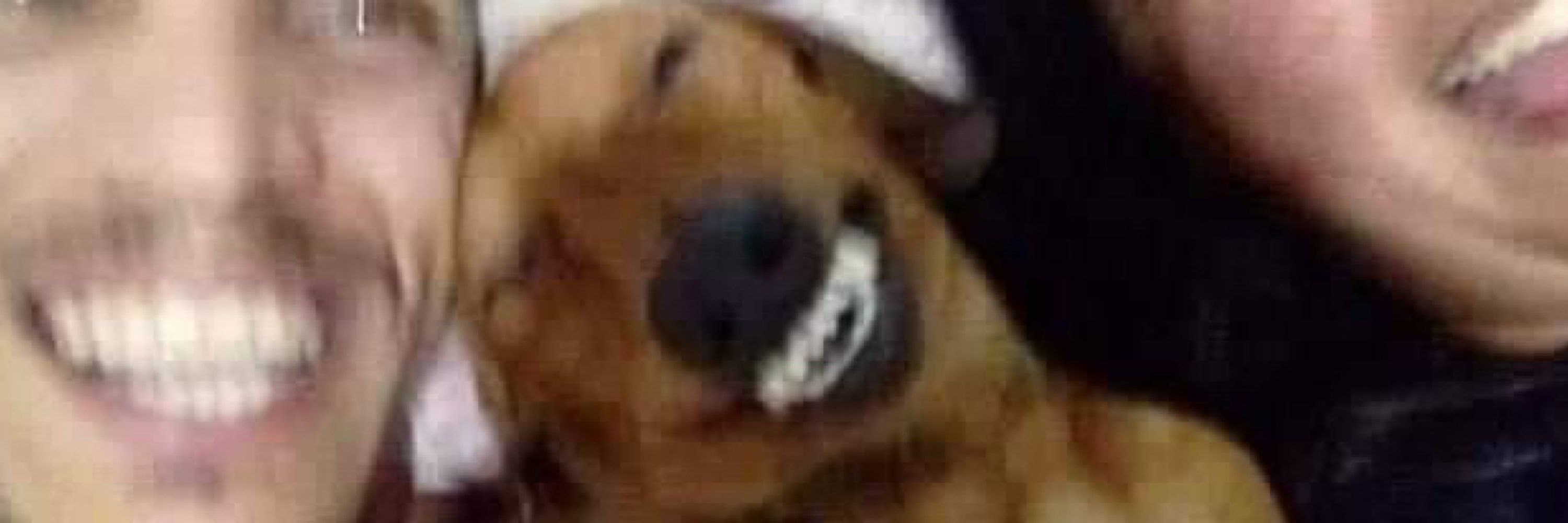 괄두