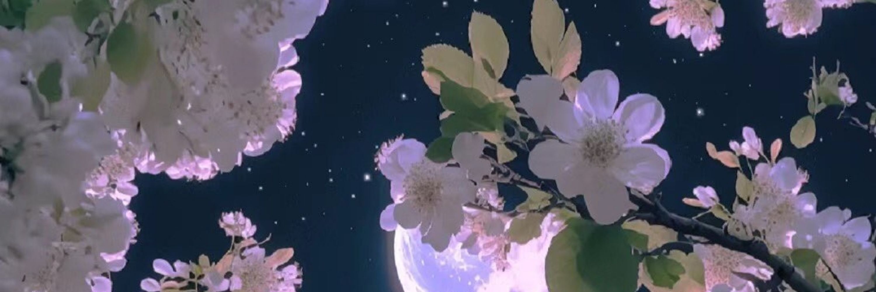 ✦ Terra ✦