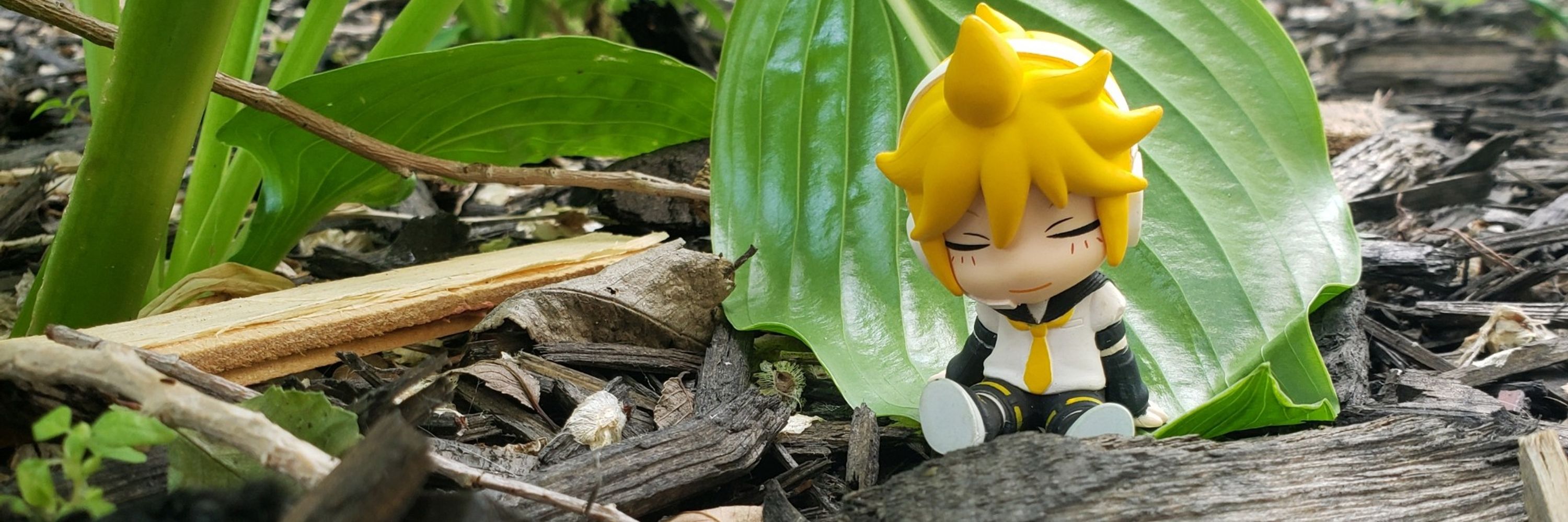 kagaroid