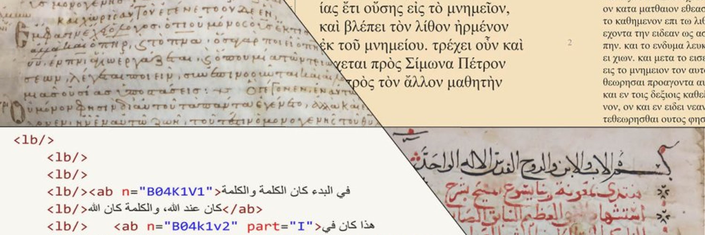 MF L-MaSDR