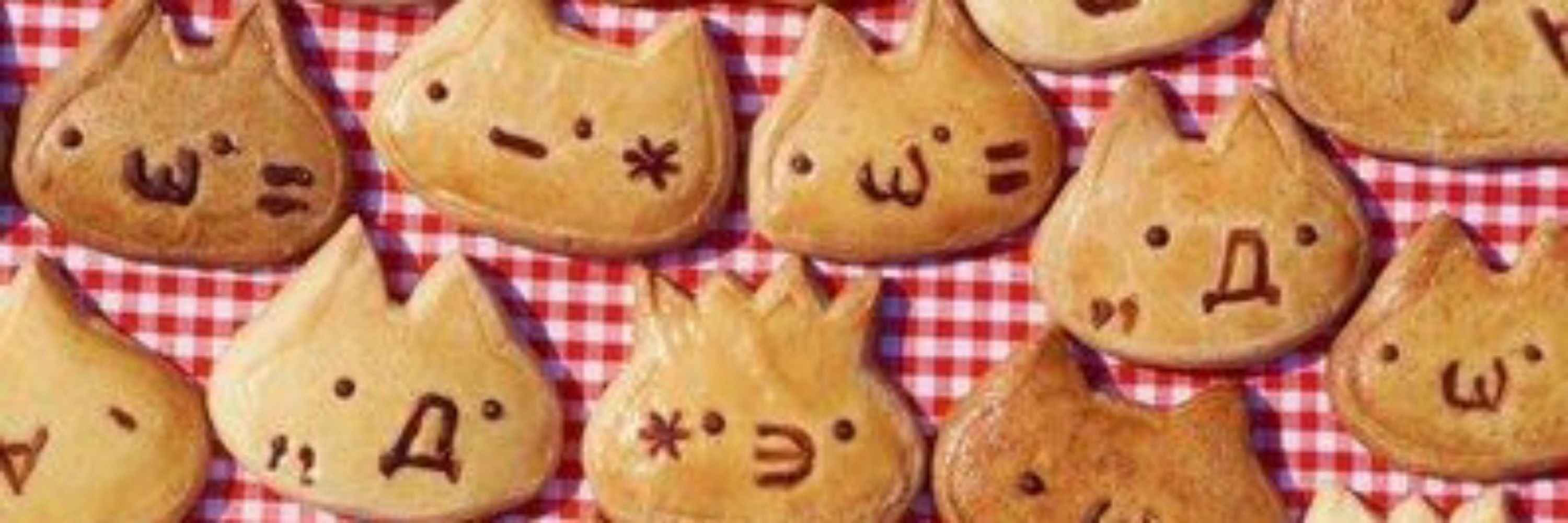 SUN-COOKIE! ଘ(੭´꒳`)°* ੈ‧₊˚ PROCURO MOOTS!