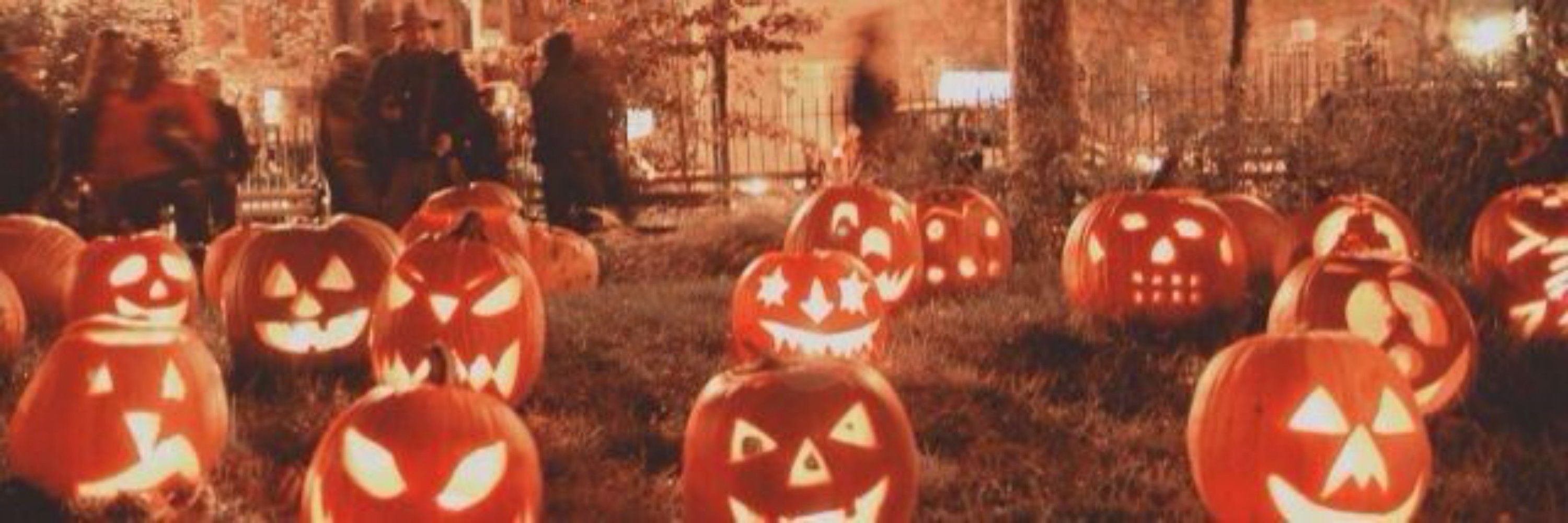 Happy Halloween 🎃🕸️