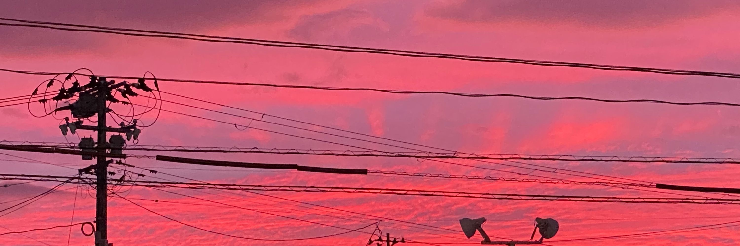 ナツヲ