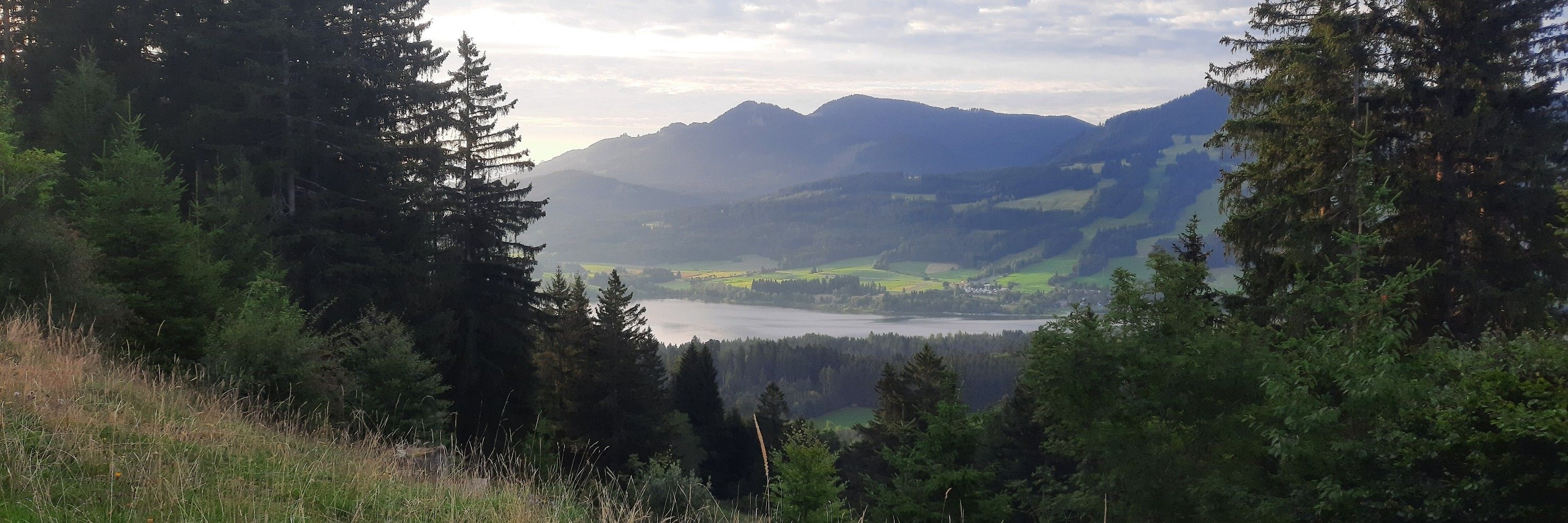 Der Waldläufer 🌳🐿🌲🌄