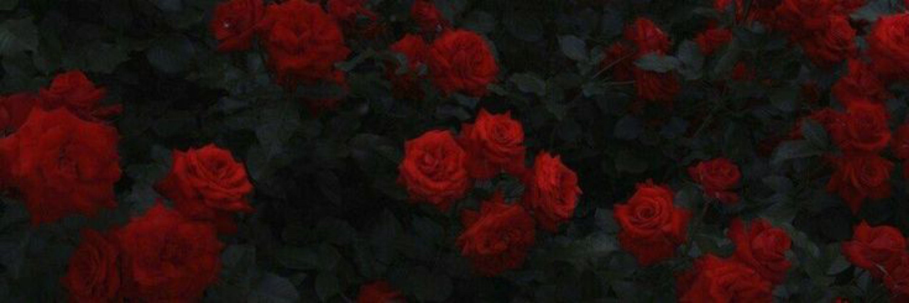 Stᥱfᥲᥒᥒᥡ^᪲᪲᪲
