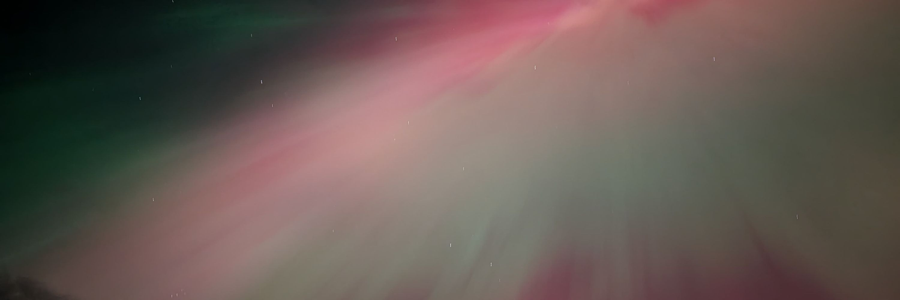MantisMaestro🏳️‍🌈