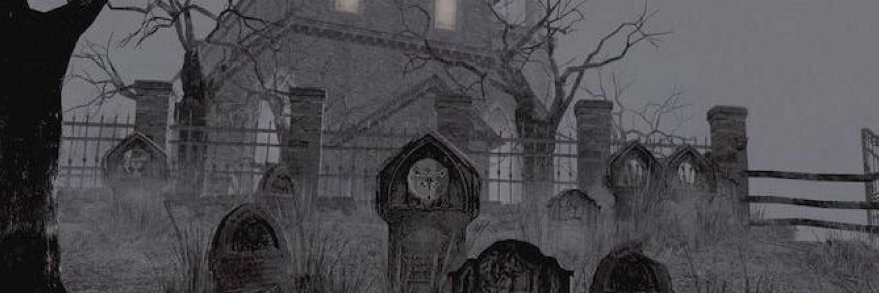 𝒟𝔞𝔯𝔶𝔩 ⛧