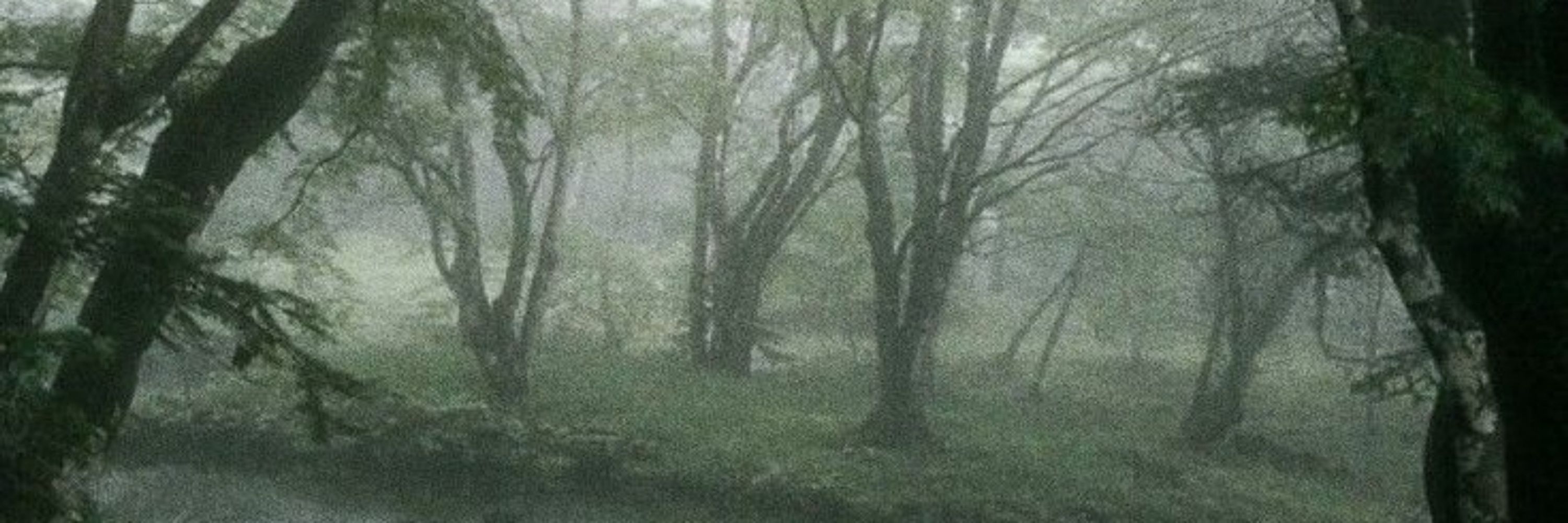 Лемон🌿