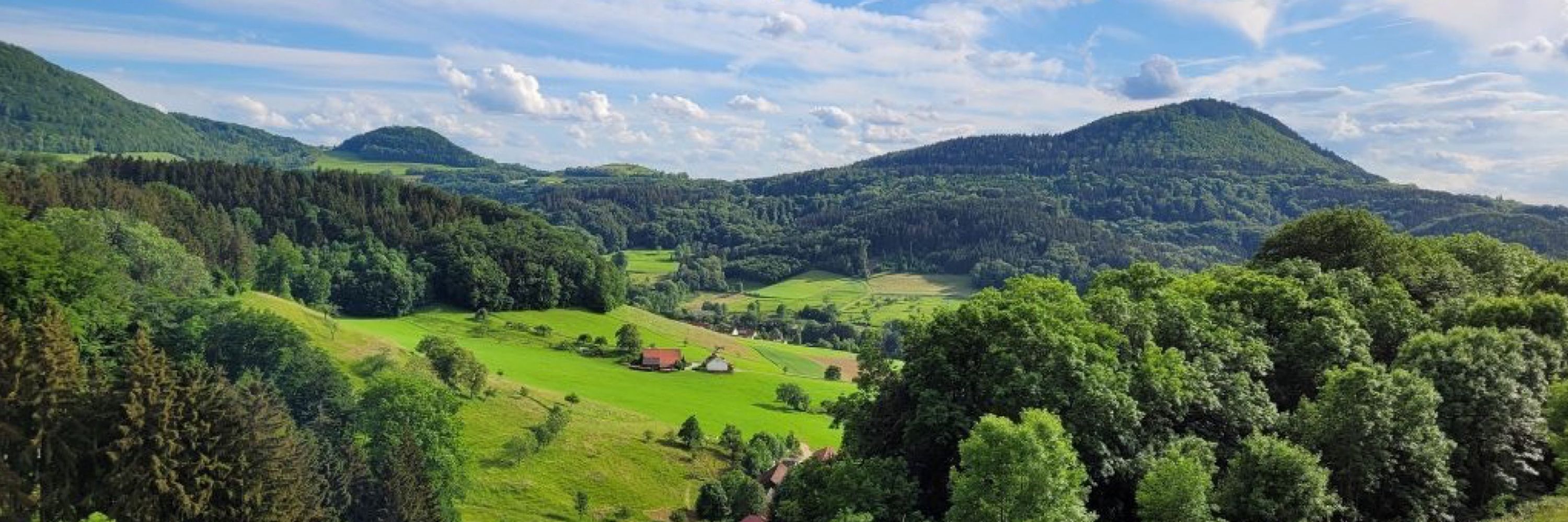 Nachhaltige Zukunft Waldstetten e.V.