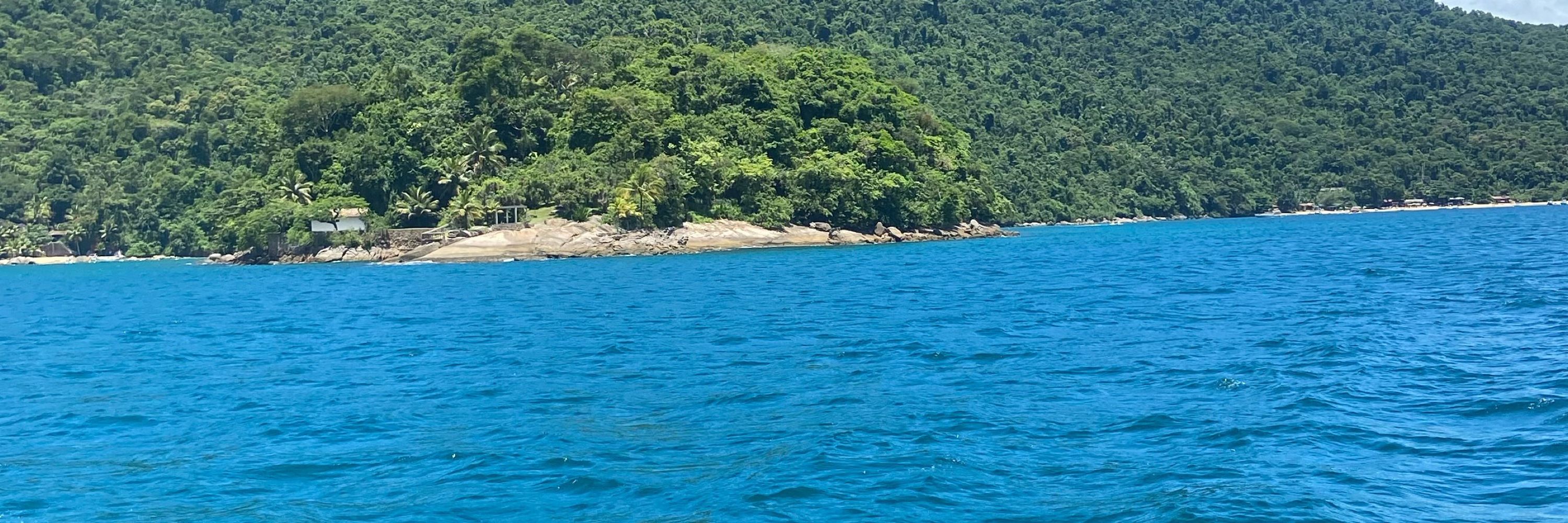 lelezurita