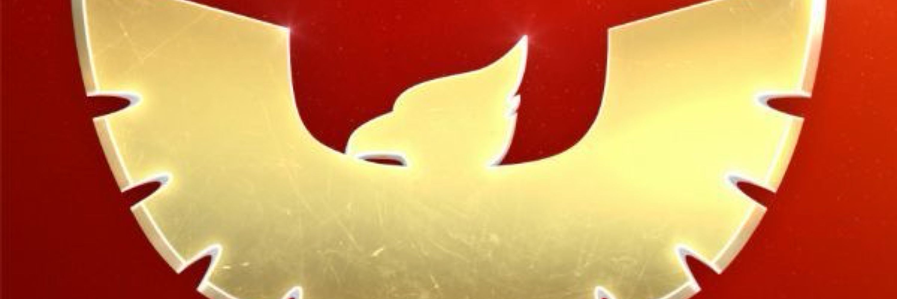 🦅 Captain Falcon’s Wife 🦅