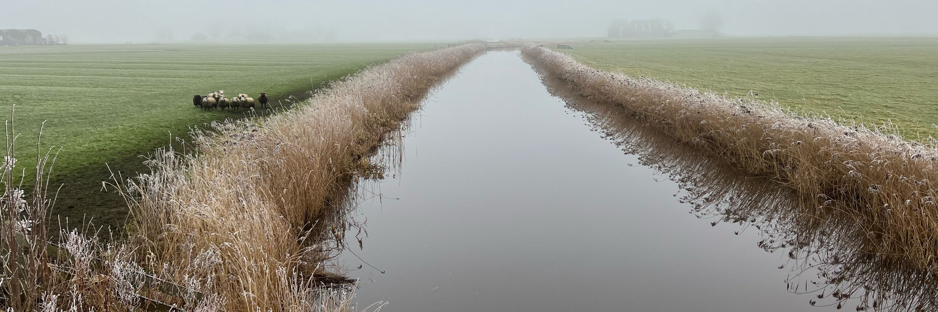Jos Steehouder