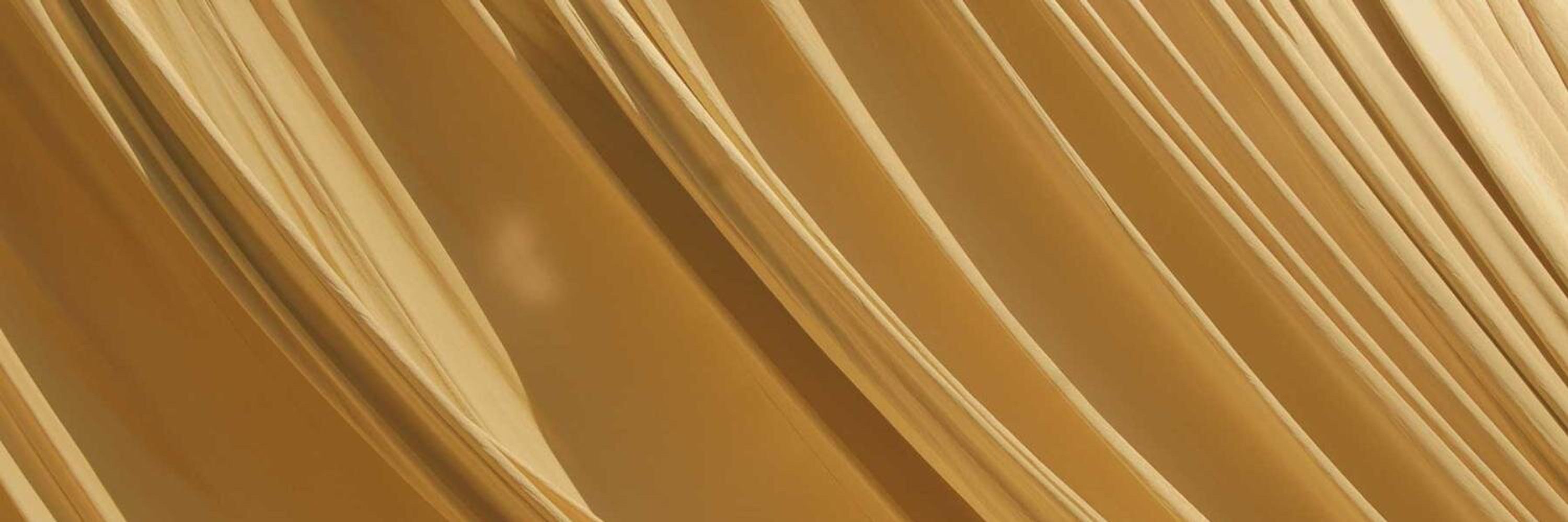 The Gold Knight