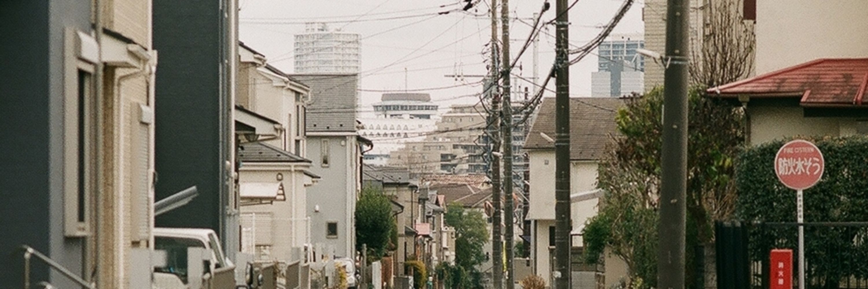 まッぴら街道の松