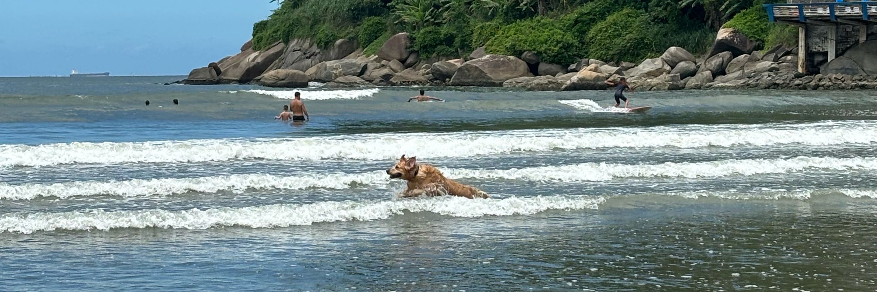 léo