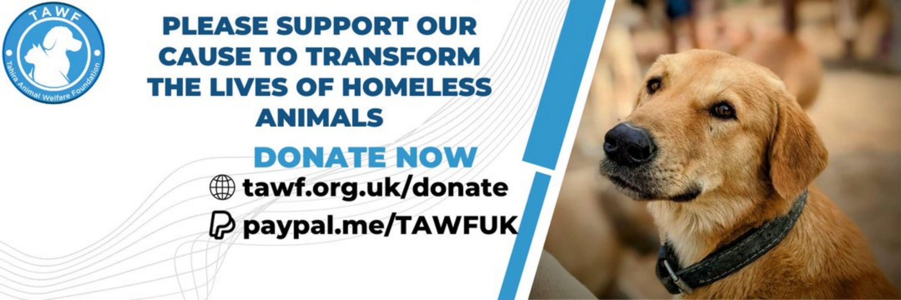 Tahira Animal Welfare Foundation - TAWF