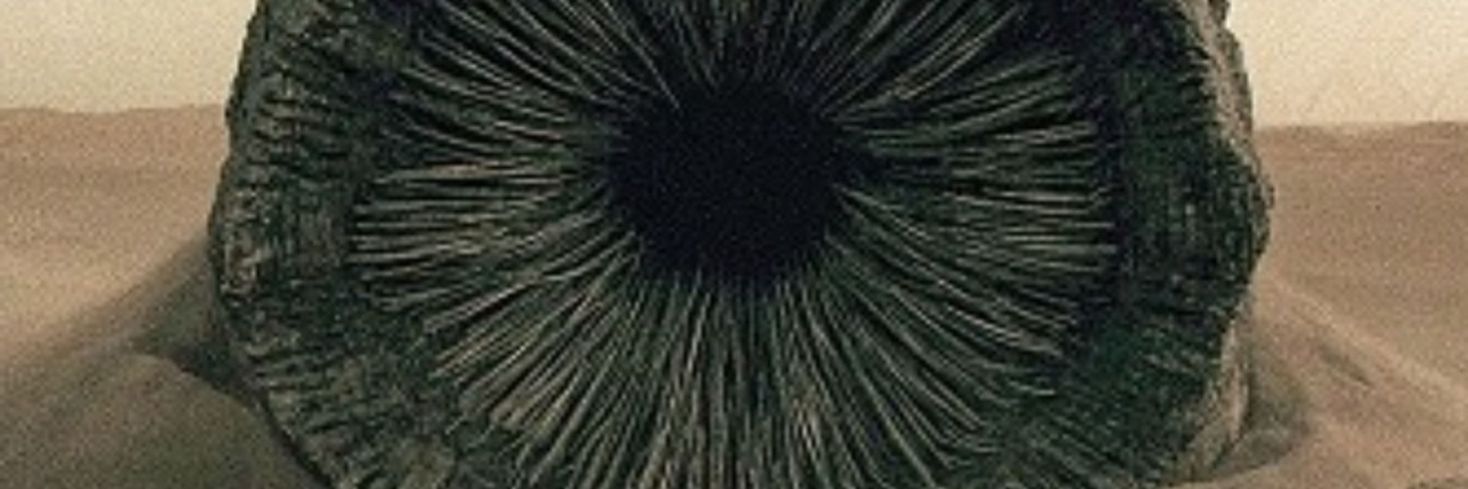 wormlike