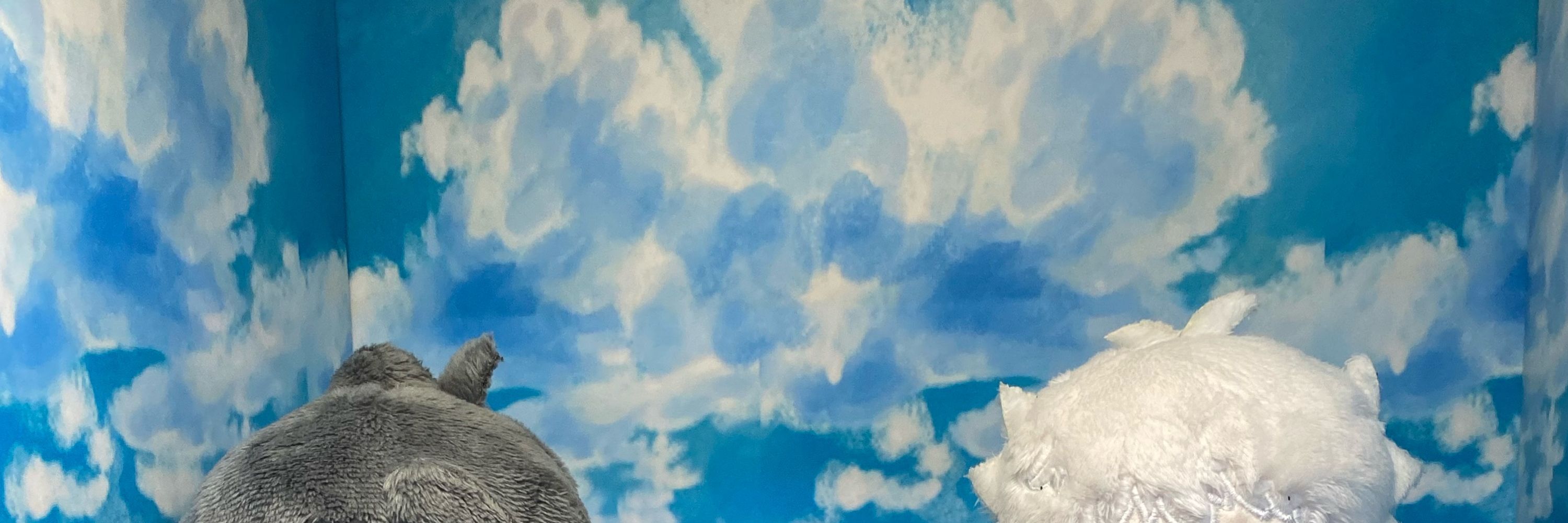 sad_gnome