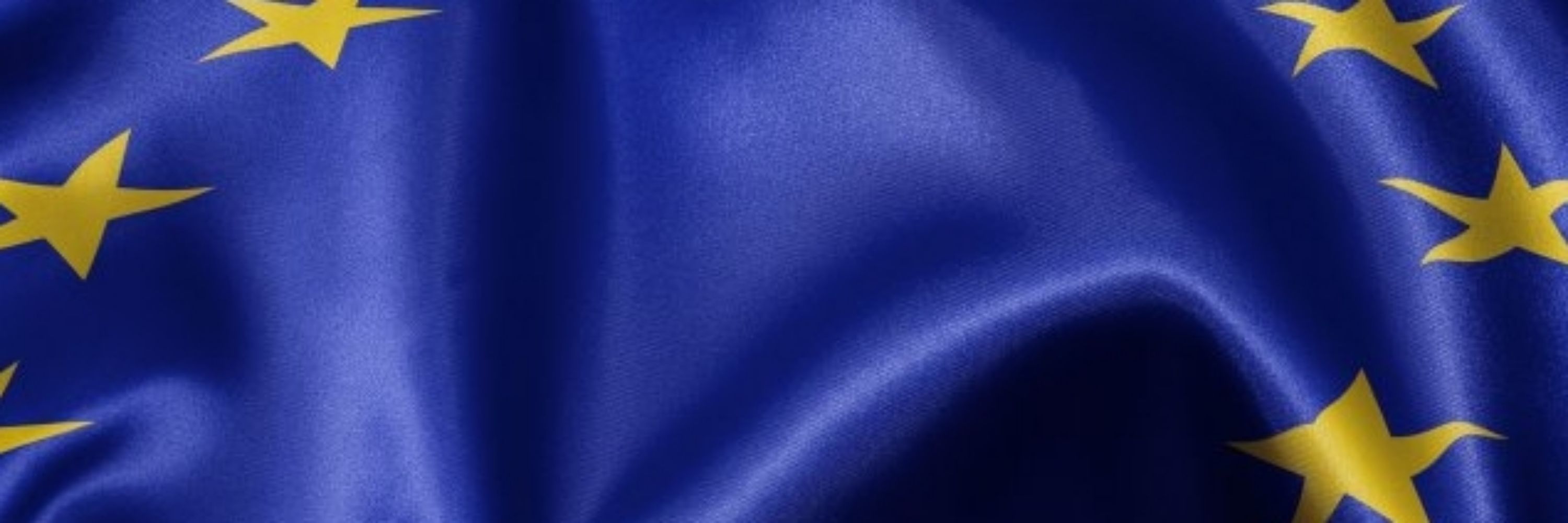 Nancy Meyer 💜🇪🇺