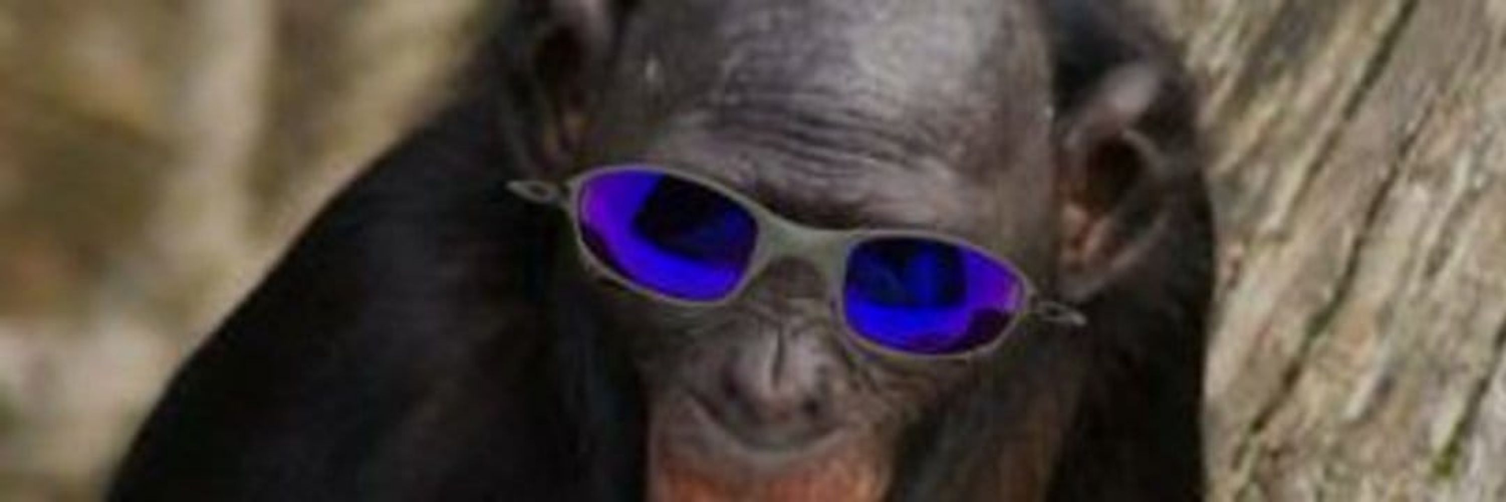 Clebertom12 