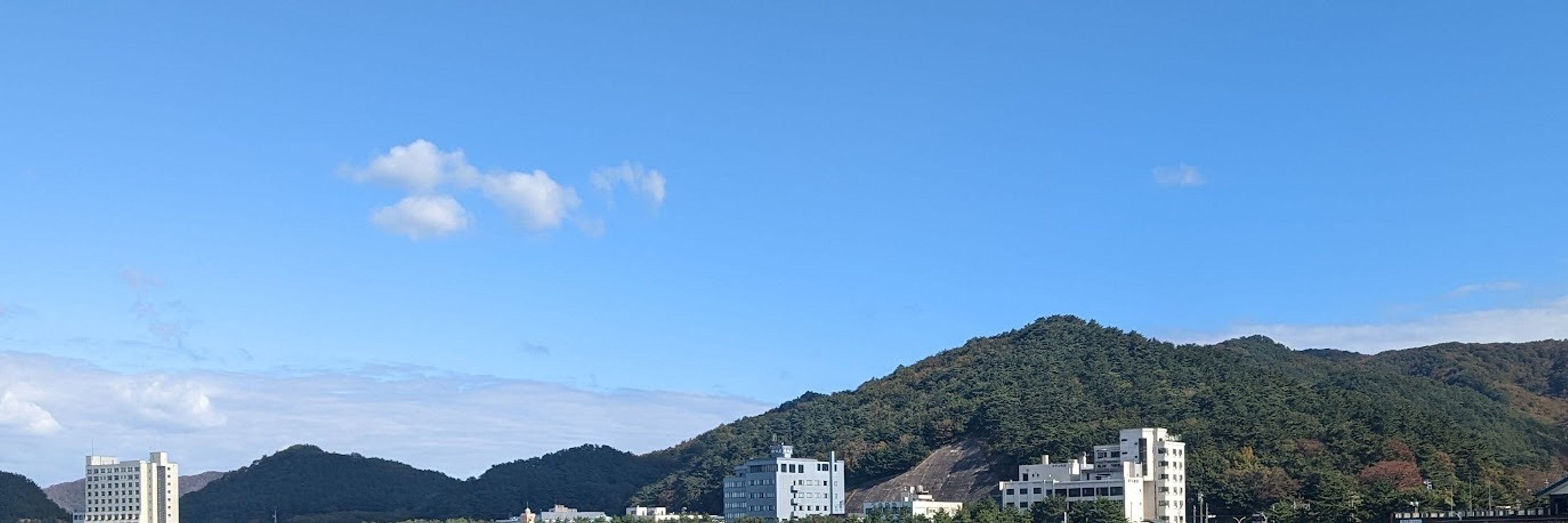 たま：Tama